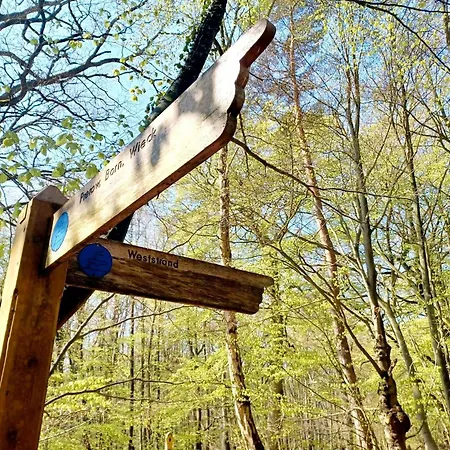 Lägenhet Weide - Ulenhoef Prerow
