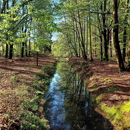 Weide - Ulenhoef Lejlighed *