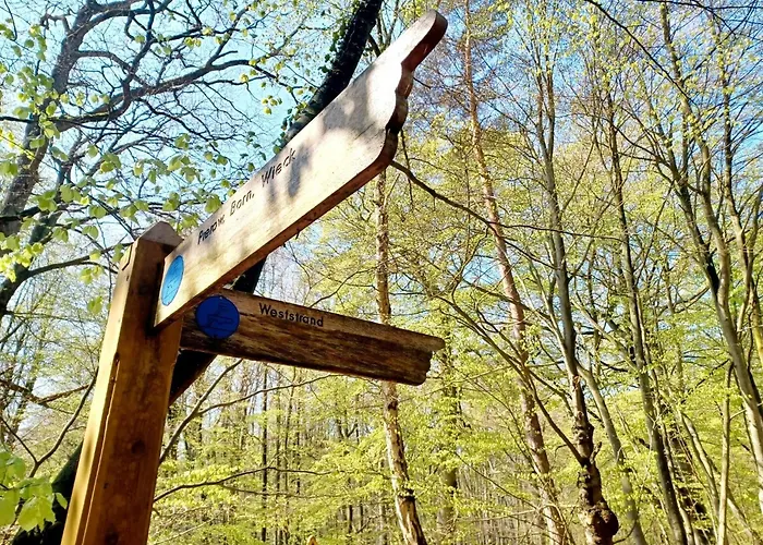 شقة Weide - Ulenhoef بريرو