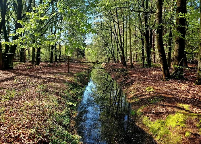 Weide - Ulenhoef شقة *